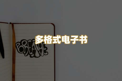 多格式电子书